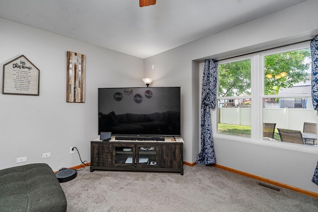 5505 Salma St, Plainfield, IL 60586 - living area featuring carpet floors and baseboards
