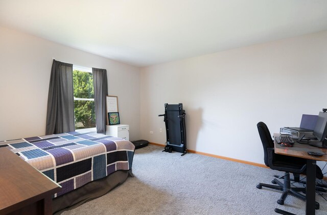 5505 Salma St, Plainfield, IL 60586 - bedroom with carpet floors and a desk