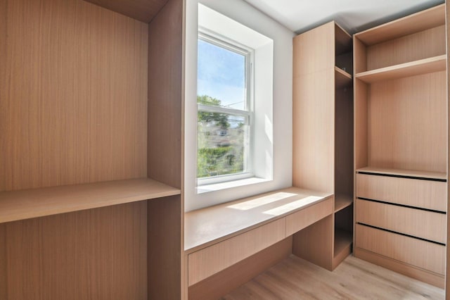 7930 S Kenwood Ave, Chicago, IL 60619 - walk in closet featuring light wood finished floors