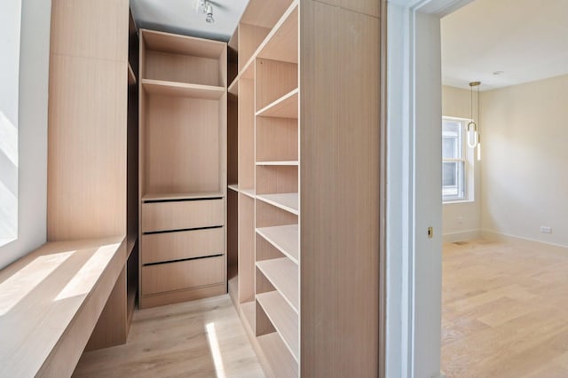 7930 S Kenwood Ave, Chicago, IL 60619 - spacious closet with light wood-style floors