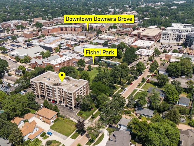 1110 Grove St Unit 4A, Downers Grove, IL 60515 - drone / aerial view