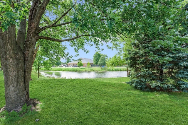 2803 S Myra Ridge Dr, Urbana, IL 61802 - photo 31