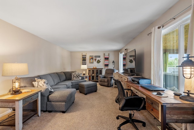 2706 Steamboat Cir, Plainfield, IL 60586 - office with carpet flooring