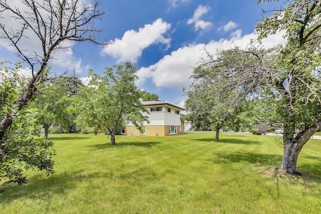 7734 Linden Ave, Darien, IL 60561 - photo 5