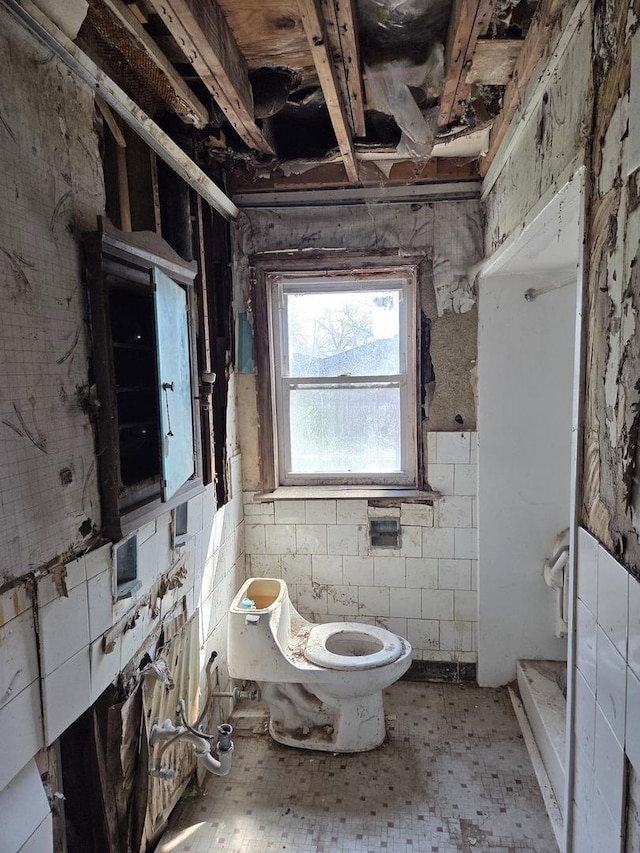 10511 S Yates Ave, Chicago, IL 60617 - bathroom with toilet