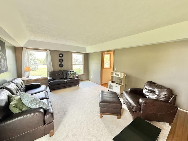 5448 S Branch Ct, Rochelle, IL 61068 - living area with carpet flooring
