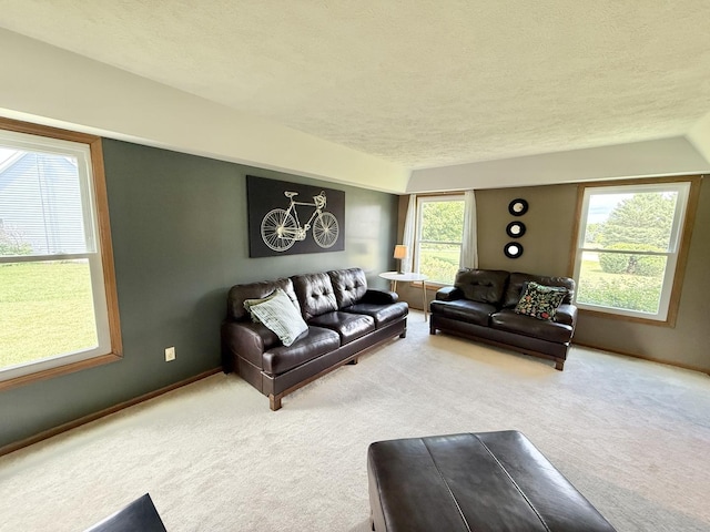 5448 S Branch Ct, Rochelle, IL 61068 - living room featuring a textured ceiling and carpet flooring