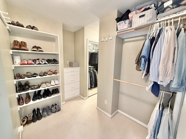 5448 S Branch Ct, Rochelle, IL 61068 - spacious closet featuring light carpet