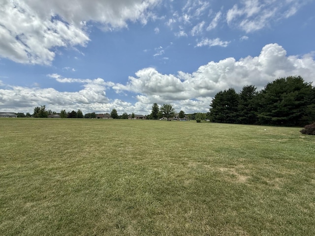 5448 S Branch Ct, Rochelle, IL 61068 - view of green lawn with a view of rural / pastoral area