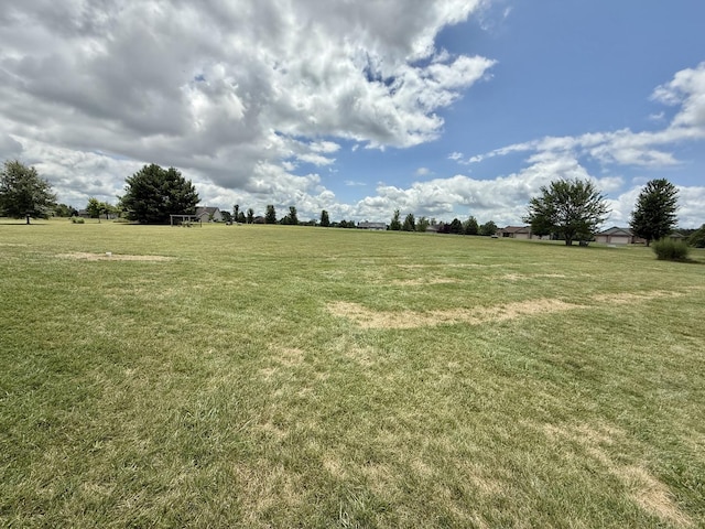 5448 S Branch Ct, Rochelle, IL 61068 - view of yard