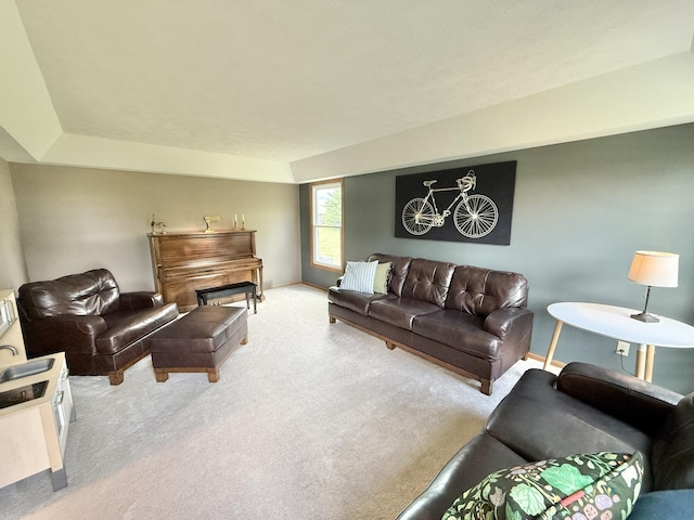 5448 S Branch Ct, Rochelle, IL 61068 - living room featuring carpet