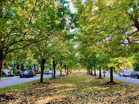 1215 W 33rd St, Chicago, IL 60608 - view of community