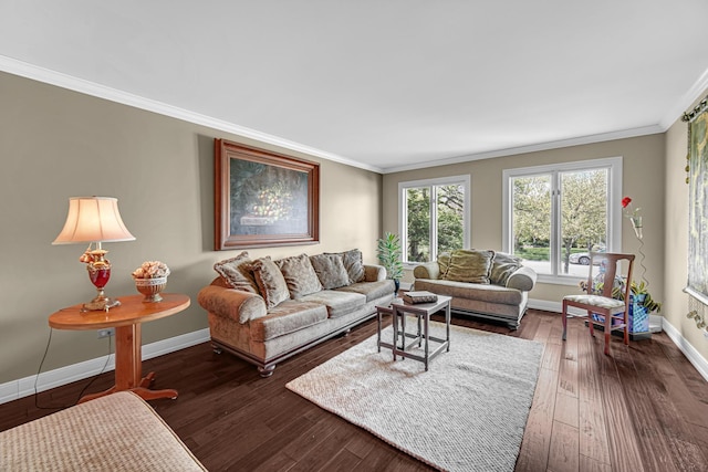 207 Hamilton Ave, Frankfort, IL 60423 - living area with crown molding and dark wood-style floors