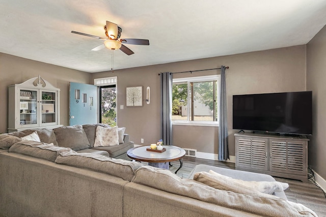911 N 9th St, Dekalb, IL 60115 - living area with wood finished floors, plenty of natural light, and a ceiling fan
