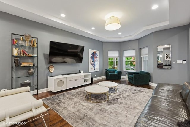 4229 S Prairie Ave, Chicago, IL 60653 - living room featuring a raised ceiling, wood finished floors, and recessed lighting