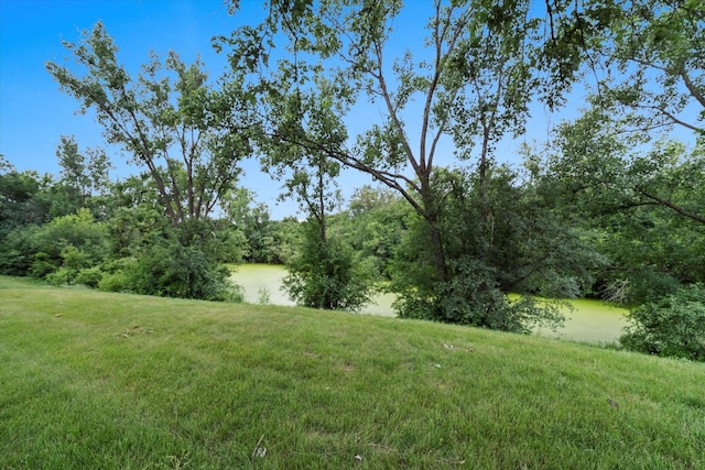 13456 W Red Coat Dr, Lemont, IL 60439 - photo 12
