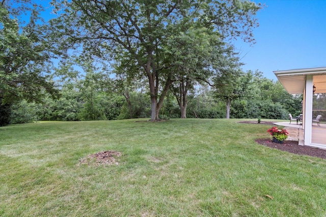 13456 W Red Coat Dr, Lemont, IL 60439 - photo 13