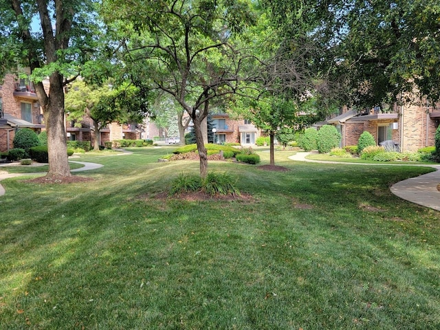 5340 Waterbury Ct Unit 2103, Crestwood, IL 60418 - view of grassy yard