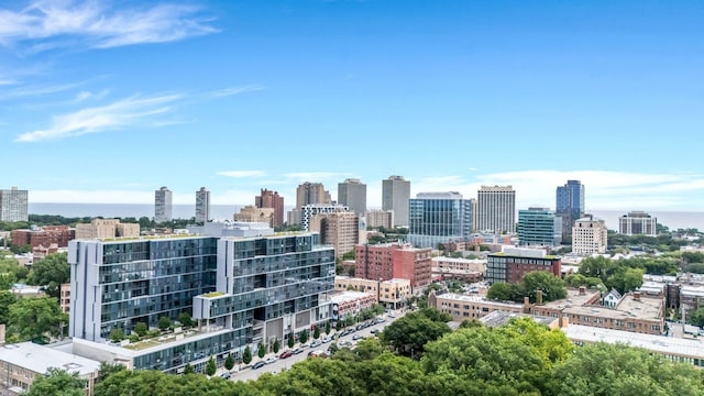 5312 S Woodlawn Ave Unit 1, Chicago, IL 60615 - photo 48