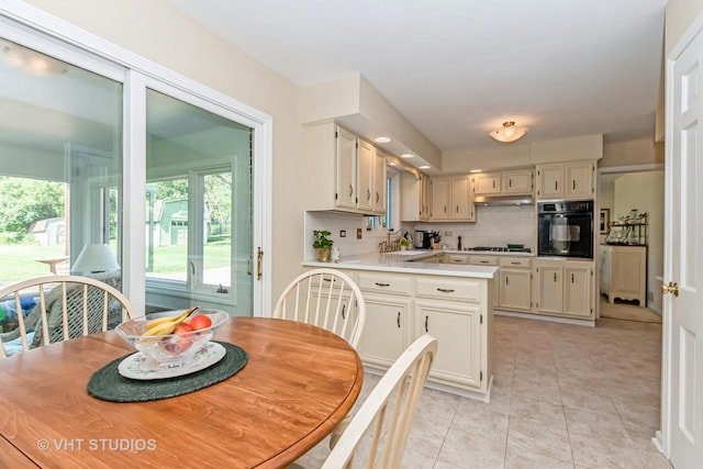 7820 Forestview Dr, Orland Park, IL 60462 - photo 8