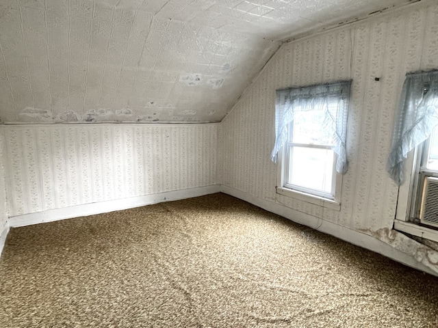 218 S Oneca St, Tonica, IL 61370 - additional living space featuring carpet and lofted ceiling