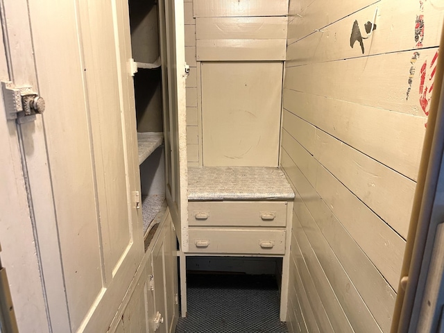 218 S Oneca St, Tonica, IL 61370 - view of spacious closet