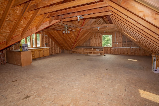 115 E Woodlawn Rd, New Lenox, IL 60451 - view of attic