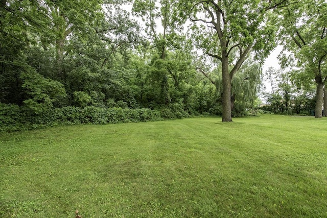 12698 W Grandview Ave, Waukegan, IL 60085 - photo 27