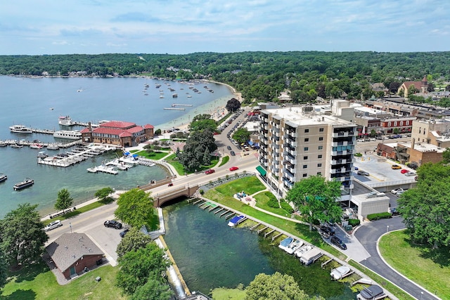 101 Broad St Unit 503, Lake Geneva, WI 53147 - photo 1