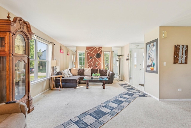 1192 Sumac Trl, Hoffman Estates, IL 60192 - living area featuring carpet floors