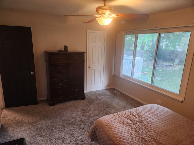 814 S 11th Ave, Saint Charles, IL 60174 - bedroom featuring carpet floors and ceiling fan