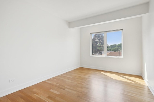 6339 N Leona Ave, Chicago, IL 60646 - photo 19