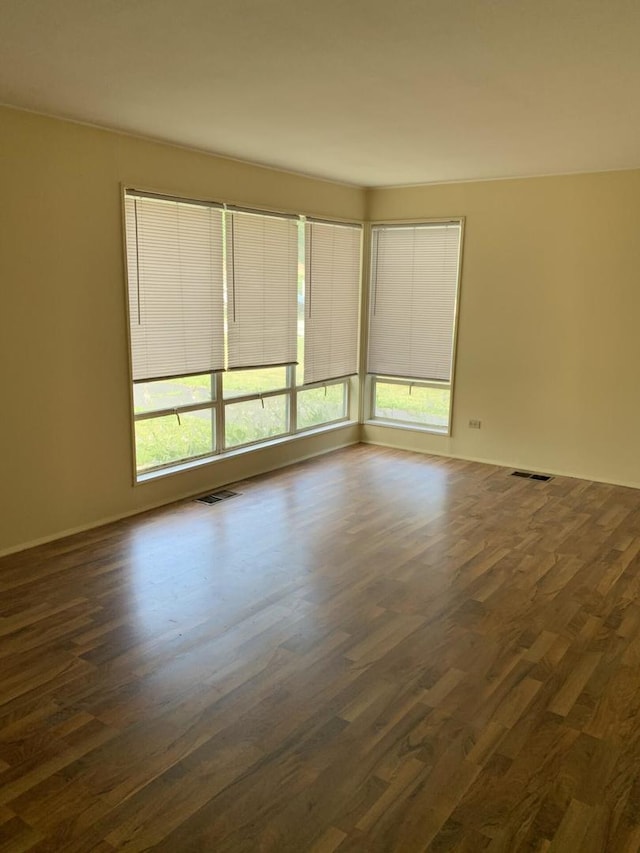 2605 Park St, Rolling Meadows, IL 60008 - empty room featuring plenty of natural light and dark wood-type flooring