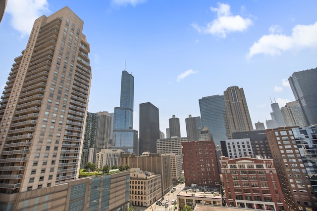 600 N Dearborn St Unit 1306, Chicago, IL 60654 - photo 12