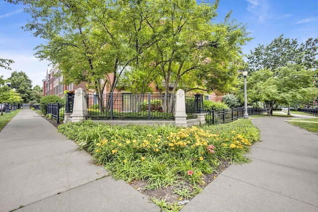 1151 W 14th Pl Unit 238, Chicago, IL 60608 - view of community