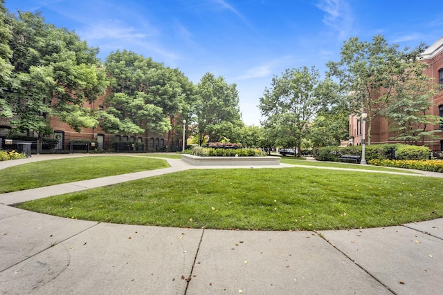 1151 W 14th Pl Unit 238, Chicago, IL 60608 - view of green lawn