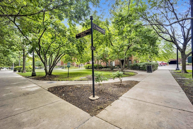 1151 W 14th Pl Unit 238, Chicago, IL 60608 - view of home's community