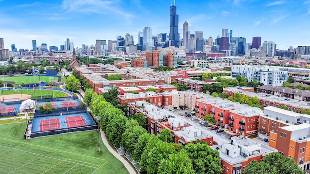 1151 W 14th Pl Unit 238, Chicago, IL 60608 - view of city skyline