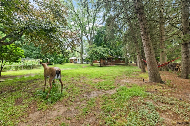 8019 S Malta Rd, Dekalb, IL 60115 - view of green lawn