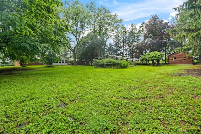 8019 S Malta Rd, Dekalb, IL 60115 - view of grassy yard