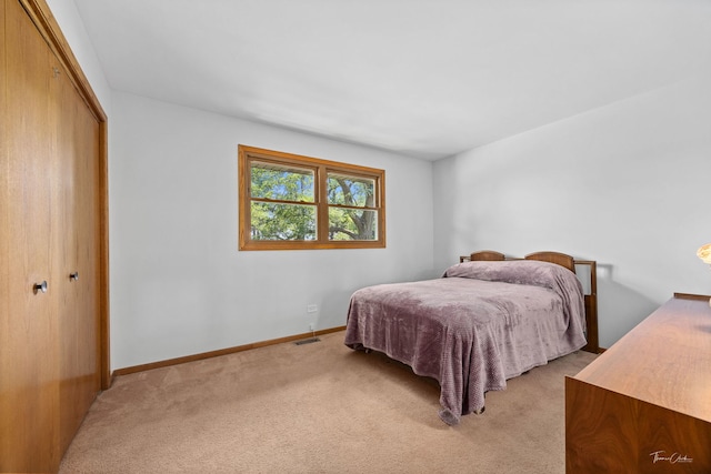 13301 Maverick Trl, Homer Glen, IL 60491 - bedroom with a closet and light carpet