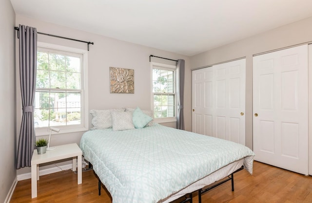 200 Timbercrest Dr, Schaumburg, IL 60193 - bedroom with multiple windows, wood finished floors, and two closets