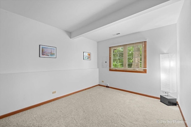 893 Millcreek Cir, Elgin, IL 60123 - photo 34