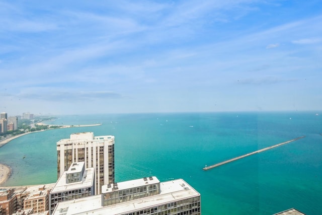 260 E Chestnut St Unit 1612, Chicago, IL 60611 - photo 14