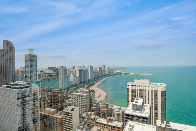 260 E Chestnut St Unit 1612, Chicago, IL 60611 - photo 15