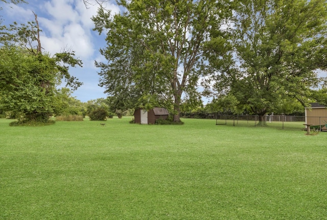 21130 Kildare Ave, Matteson, IL 60443 - view of yard featuring a shed