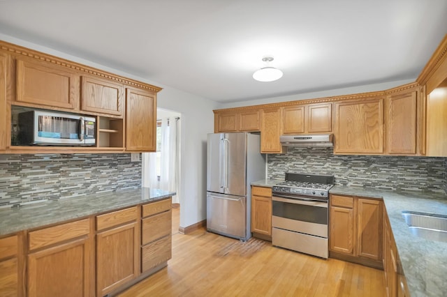 21130 Kildare Ave, Matteson, IL 60443 - kitchen featuring appliances with stainless steel finishes, under cabinet range hood, backsplash, and light wood-type flooring
