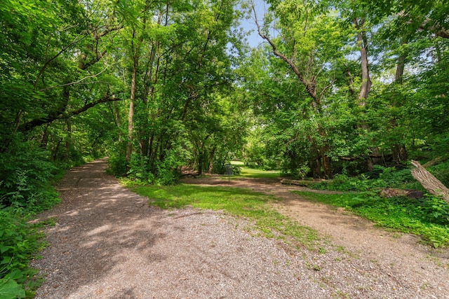 818 Evernia Ct, Geneva, IL 60134 - photo 25
