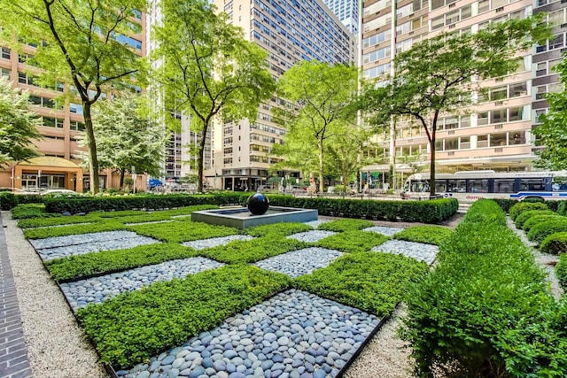 260 E Chestnut St Unit 1904, Chicago, IL 60611 - view of community