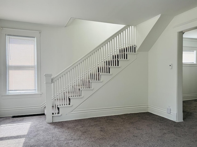 1347 Greenwood Ave, Rockford, IL 61107 - staircase featuring carpet floors